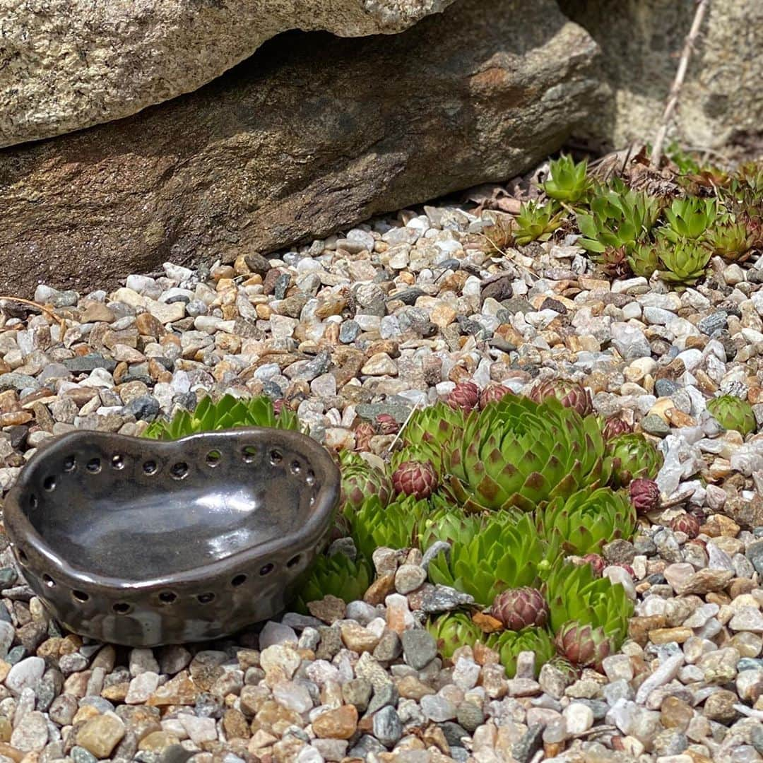 シェリ・ムーン・ゾンビさんのインスタグラム写真 - (シェリ・ムーン・ゾンビInstagram)「#tinypottery #handbuilt by me. #pothead #potterylife 🖤」5月8日 5時10分 - sherimoonzombieofficial