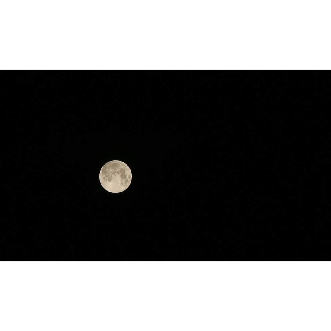 福山智可子さんのインスタグラム写真 - (福山智可子Instagram)「Took pictures of the last superfullmoon of 2020 in case if you missed it ;) 2020年最後のスーパーフルムーン😎 . #カメラ勉強中 #superfullmoon2020」5月8日 5時41分 - chikako808