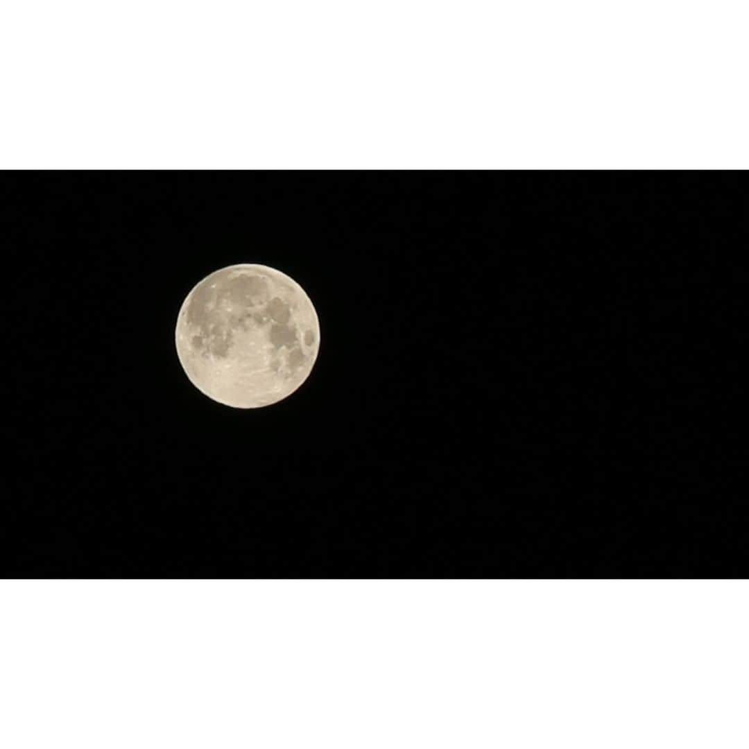 福山智可子のインスタグラム：「Took pictures of the last superfullmoon of 2020 in case if you missed it ;) 2020年最後のスーパーフルムーン😎 . #カメラ勉強中 #superfullmoon2020」