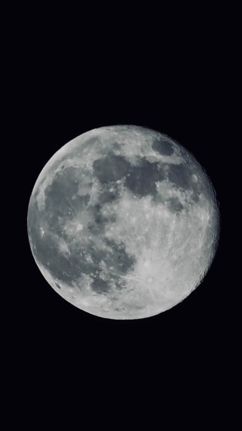Emeli Sandéのインスタグラム：「In honour of tonight’s super flower moon. Here’s a freestyle I made with @chrisloco a couple years back. He switched on the mic, ran his beat and this is what came out. With love 🌝 (Image by Nigel Gideon)」