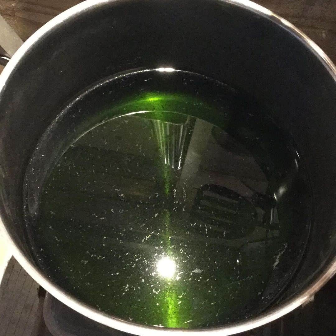 のインスタグラム：「ワラビを一晩、重曹水につけてアク抜きした後の残り水。美しい緑。これで何かを染めたくなる。」