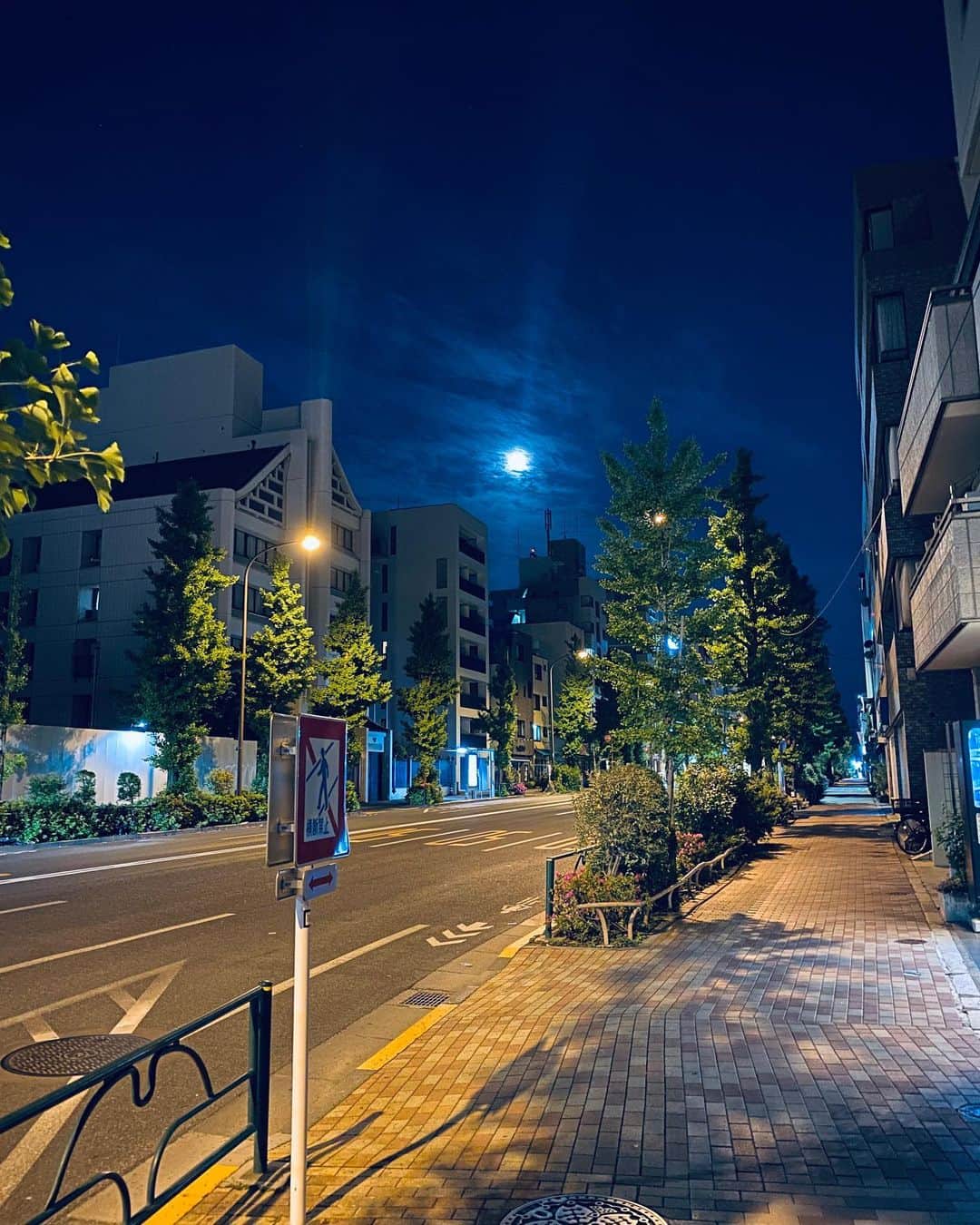 のインスタグラム：「5月の満月は、フラワームーン。 左の空き地はニトリ建設中。 #flowermoon #moon」