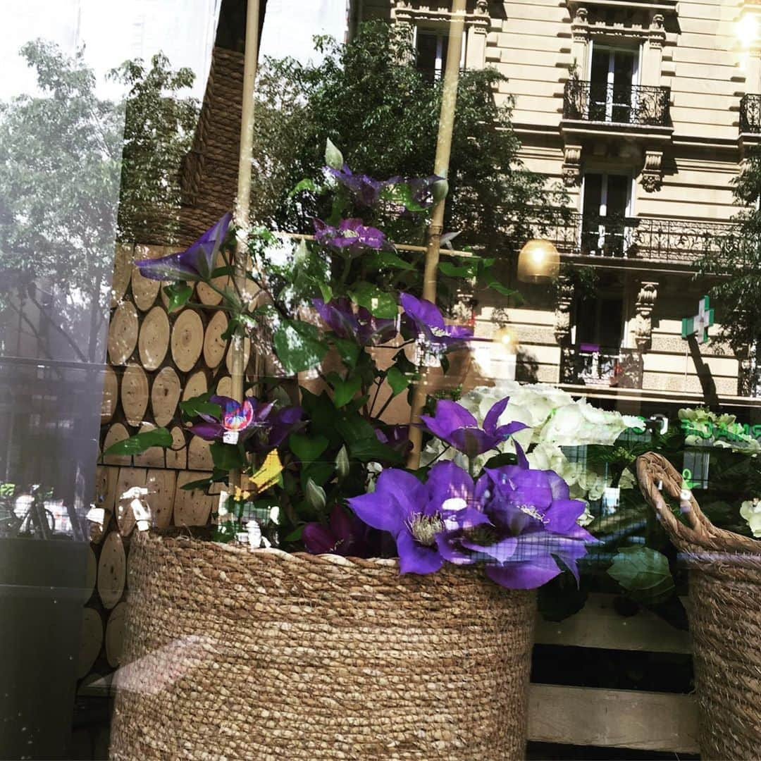 大森美希さんのインスタグラム写真 - (大森美希Instagram)「Lockdown Day 52 🔐  A florist started preparing to open her shop - France is preparing to gradually lift lockdown measures from May 11.  パリは今日も爽やかな青空☀️外出制限が始まって既に52日が経った。フランスはとうとう来週の月曜日から外出制限緩和が正式に決まった。まだまだ先の見えない不安からこの段階的緩和を素直に喜べない自分がいるがとにかく前に進むしかない。大好きな紫色のクレマチスが私を優しく見つめる。  #clematis #flower #myfavoriteflower #parislife #lockdown #confinement #paris #quarantine #stayhome #restonscheznous #todaysmood #クレマチス #好きな花のひとつ #大好きな花 #紫色 #パリ生活#パリ散歩 #パリところどころ #パリの花屋 #パリの街角 #外出制限 #外出制限中のパリ #パリ #フランス #コロナウィルス #うちで過ごそう #家にいるだけで世界は救える #外出制限緩和 #日常の一コマ」5月8日 6時36分 - mikiomori_