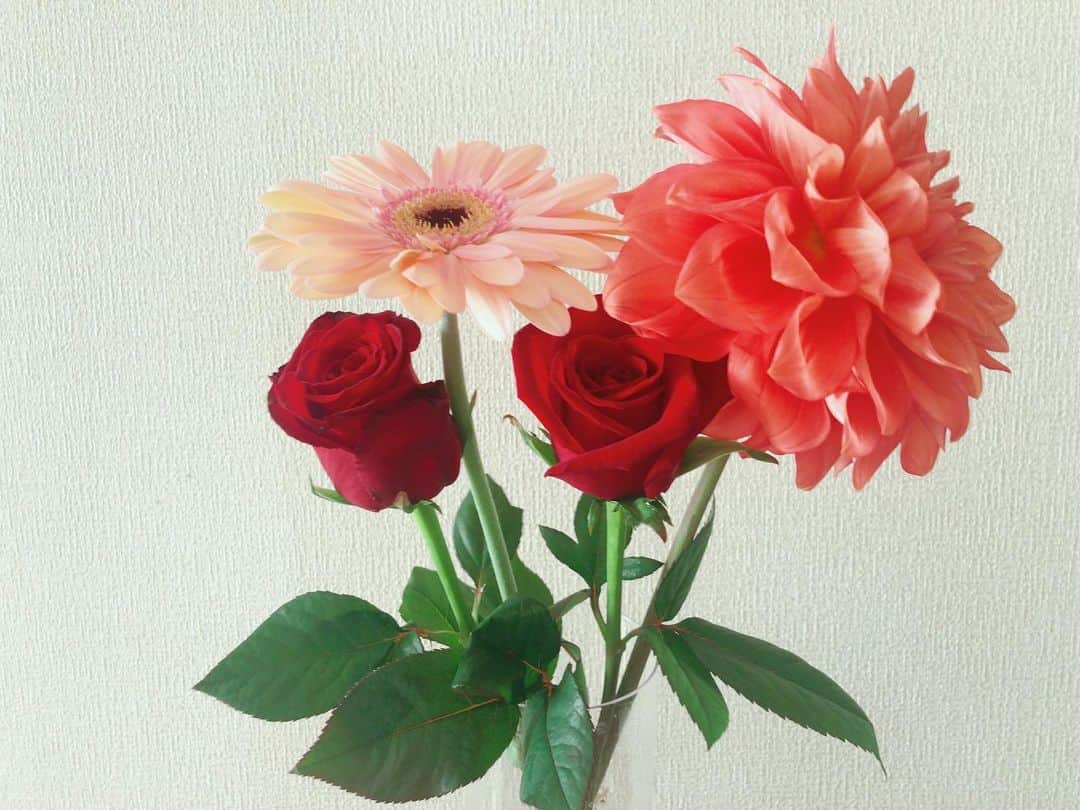 市井紗耶香さんのインスタグラム写真 - (市井紗耶香Instagram)「もうすぐ母の日  ありがとうの気持ちを込めて。 普段は恥ずかしくてなかなか口にできない言葉もお花の力をそっと借りましょう🌹  #花で帰省しよう #母の日 #ありがとう #愛しています」5月8日 6時52分 - sayakaichii