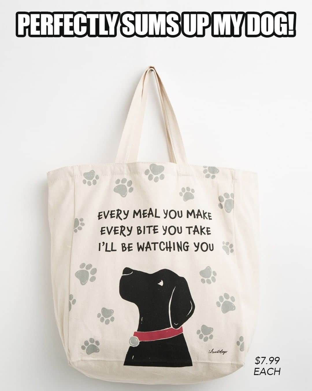 Animalsのインスタグラム：「Haha, this is perfect! (Tote bag available here 👉 @iheartdogscom bio link )」