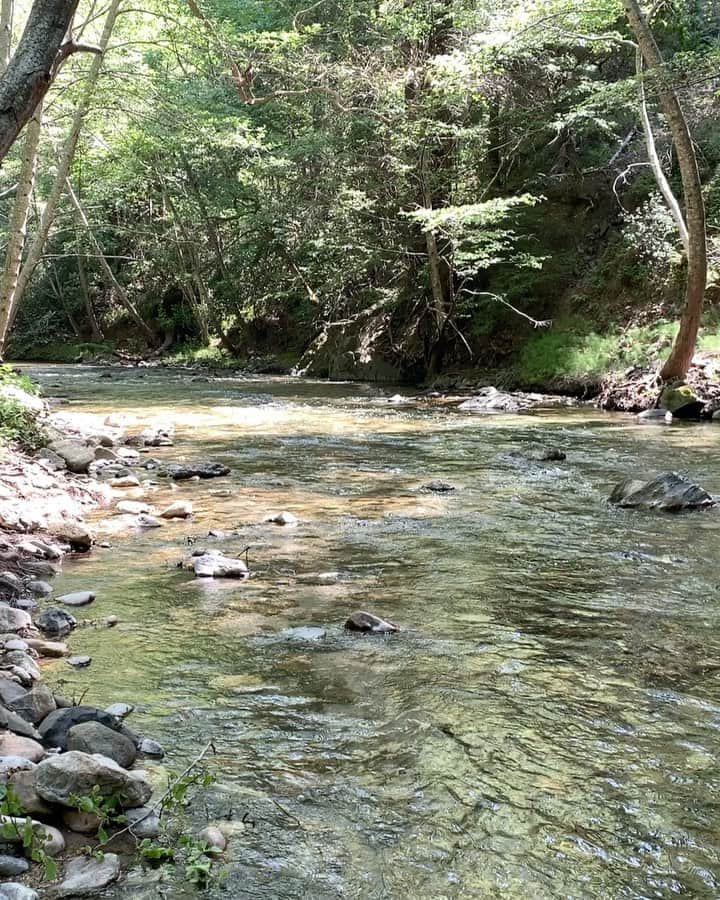マンディクーンのインスタグラム：「Big Sur meditations. • • • I love to listen to this anytime I’m feeling stressed. ❤️」
