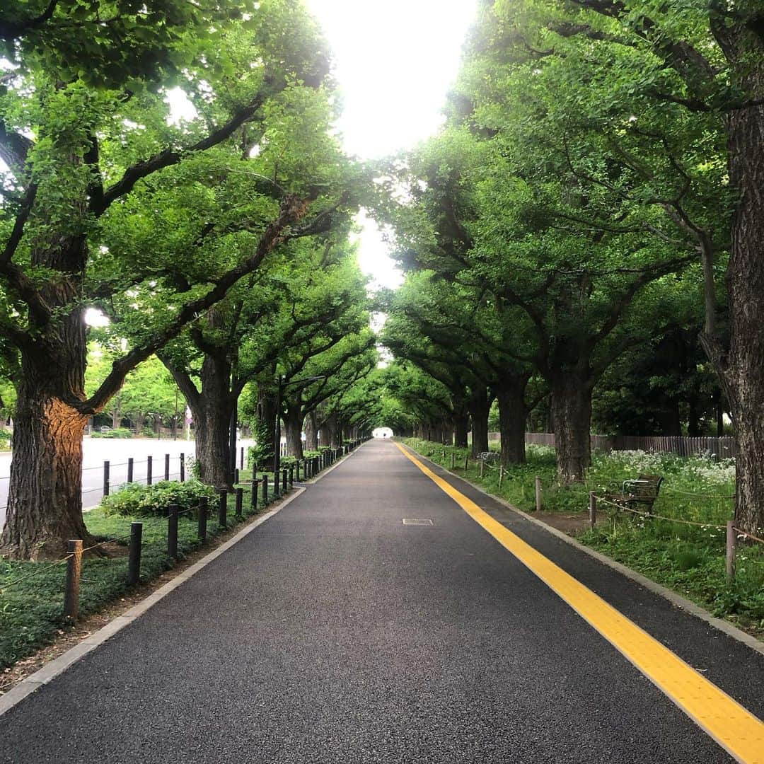 雨宮朋絵さんのインスタグラム写真 - (雨宮朋絵Instagram)「おはようございます。 久しぶりに早朝のお散歩してきました。朝日ってエネルギーをくれますね。 良い一日となりますように。」5月8日 7時16分 - amemiyatomoe