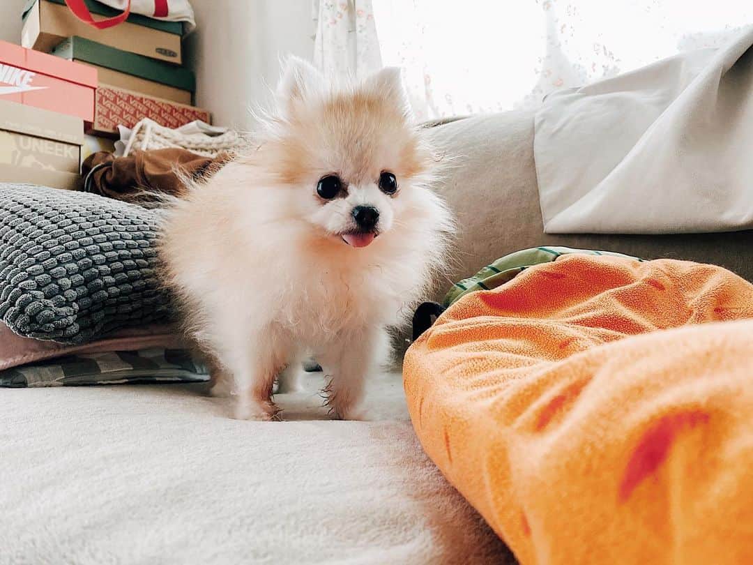r_oseのインスタグラム：「My carrot and I forever🐰🥕〰️」