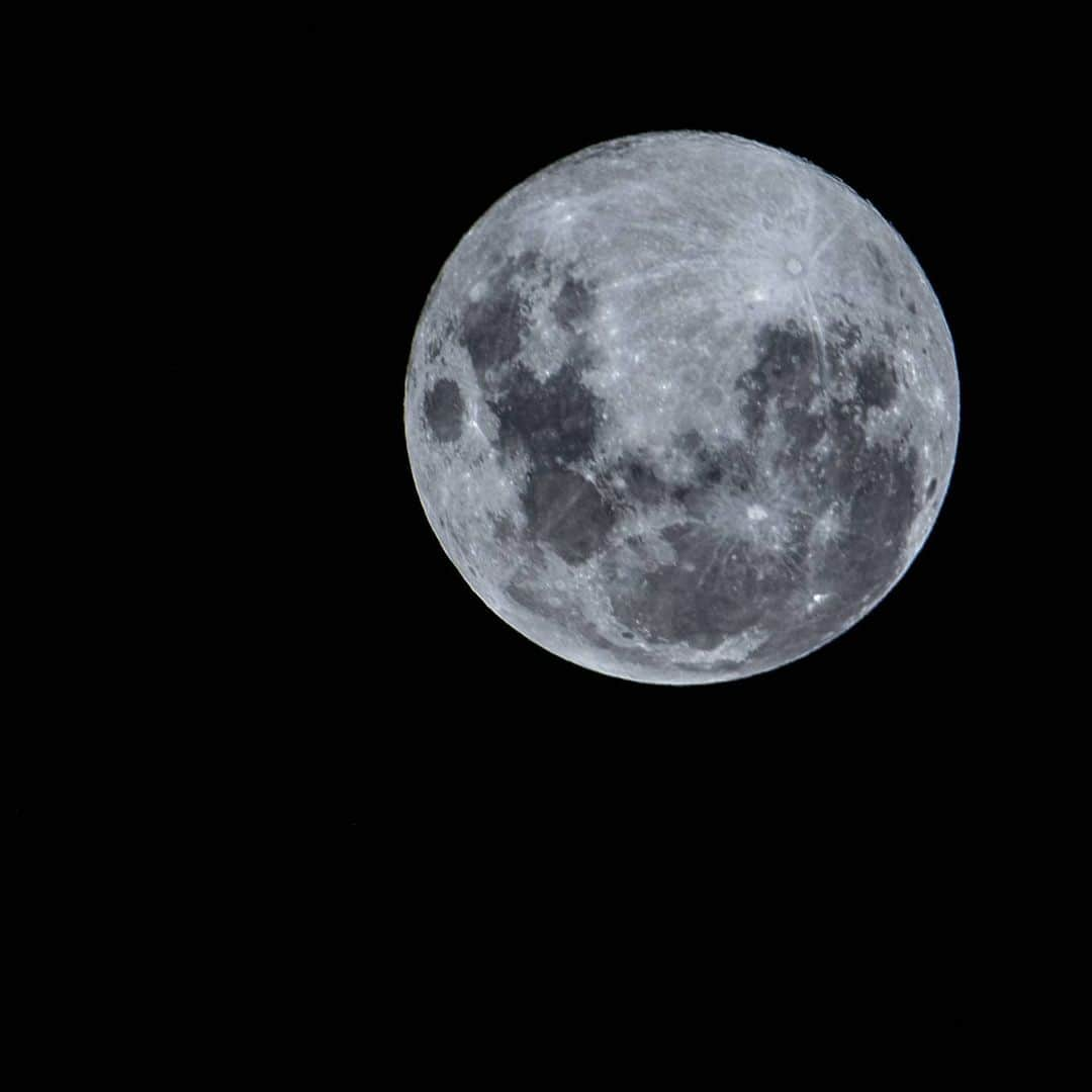 デビッド・ポーコックさんのインスタグラム写真 - (デビッド・ポーコックInstagram)「Put the swag out in the backyard last night to watch 'Flower Moon' - the last supermoon of the year.」5月8日 16時54分 - davidpocock