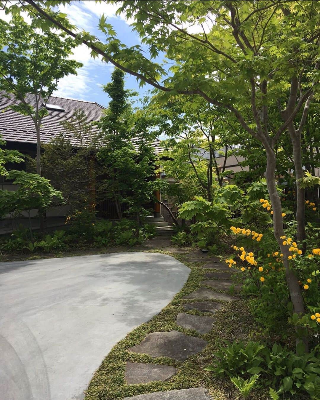 Hello♡のインスタグラム：「ㅤㅤㅤㅤㅤㅤㅤㅤㅤㅤㅤㅤㅤ 実家の庭の緑たちが綺麗な季節🥺🌿 （去年の今ごろの写真） コロナが落ち着いたら実家に帰って 毎日愛犬と遊びまくりたい🥺🐕 #庭のある暮らし #雑木林の庭 #秋田犬 ㅤㅤㅤㅤㅤㅤㅤㅤㅤㅤㅤㅤㅤ」