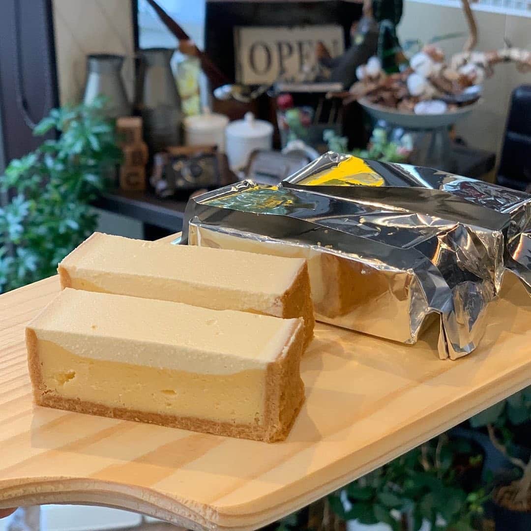 のインスタグラム：「「チーズケーキ」﻿ リポスト✒︎チーズ好き必見👀🧀西尾市のチーズケーキ専門店、チーズケーキオッコさんのチーズケーキ🍰🧀﻿ ﻿ ベイクドチーズケーキ、レアチーズケーキ、さらにタルトといった夢のような組み合わせ😍👏🏻綺麗な層にもうっとりしますね🍴💯﻿ ﻿ 厳選された2種類のクリームチーズをブレンドすることで、日を追うごとに変化する味わいを楽しめるのだとか🤤🧀﻿ ﻿ 取り扱いはこちらの一種類のみ❗️サイズはホールもカットもありますよ😋🙏🏻ホールチーズケーキはラッピングサービスもあるのでお誕生日などのお祝いにもいいですね🎉😎﻿ ﻿ @hinata_suukki さん、#ナゴレコ ありがとうございます⭕️﻿ ﻿ Repost @hinata_suukki ・・・﻿ ﻿ 西尾でテイクアウト😆﻿ *﻿ *﻿ チーズケーキオッコ💕﻿ *﻿ *﻿ チーズケーキ専門店だよ。﻿ ホールとカットがある。このチーズケーキのみ。﻿ こちらテイクアウトで写真はビルディングで撮った🤣🤣🤣﻿ *﻿ *﻿ 2層になった断面図がとっても魅力的なチーズケーキ🥰﻿ ベイクドチーズケーキとレアチーズケーキの2層にサクサクタルト生地💕バランス良くて美味しかった😍﻿ *﻿ *﻿ ごちそうさまでした😋﻿ *﻿ *﻿」