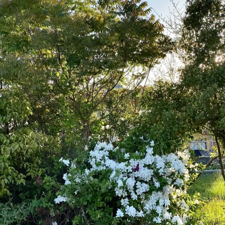 祥吉のグルメインスタ