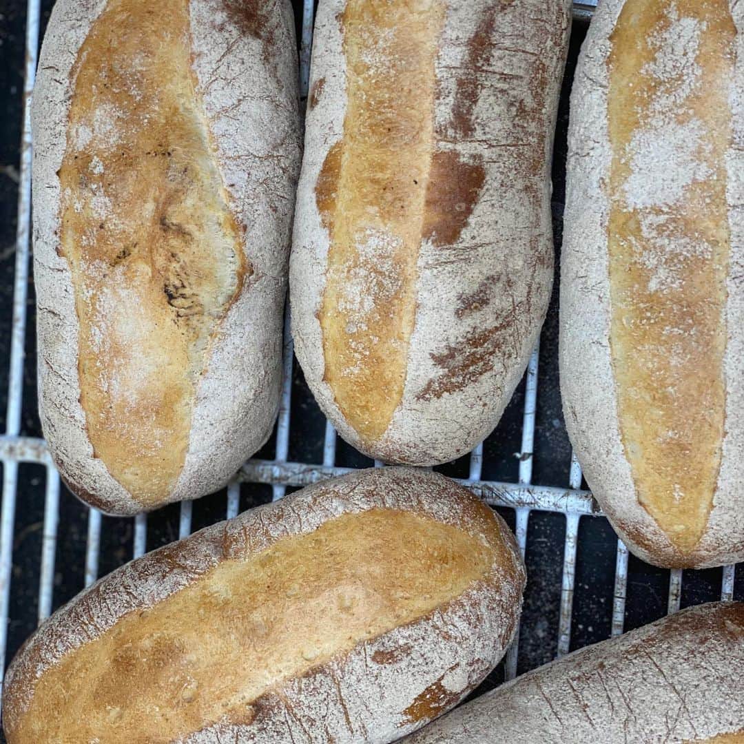 魔女菅原のグルメインスタ