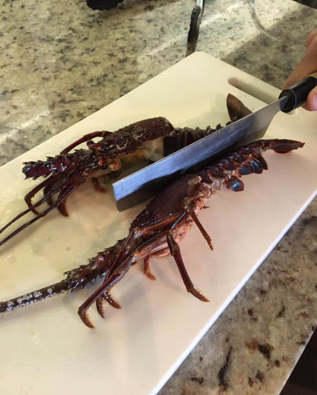 市川海老蔵 （11代目）さんのインスタグラム写真 - (市川海老蔵 （11代目）Instagram)「Cooking breakfast with the Ise-Ebi lobster sent from my friend,  I am sorry, Ebi lobster. * 友達から届いた伊勢海老で 朝ごはん。  すまぬ　海老。  #市川海老蔵 #海老蔵 #成田屋 #歌舞伎 #ABKAI #ABMORI #ebizoichikawa #ebizo #kabuki #thunderparty #theater #theaterarts #actor #japan #classic」5月8日 9時43分 - ebizoichikawa.ebizoichikawa