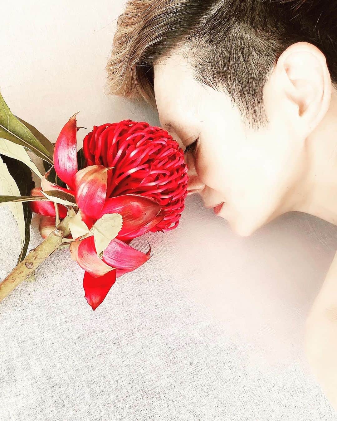 夏木マリさんのインスタグラム写真 - (夏木マリInstagram)「おはよう〜  季節は移ろう.......... 気をつけて よい日に。  #stayhome#pray #goodmorningseries #flowerseries#goodday #NATSUKIROCK @mari_natsuki #thankyouhealthcareworkers」5月8日 9時43分 - mari_natsuki
