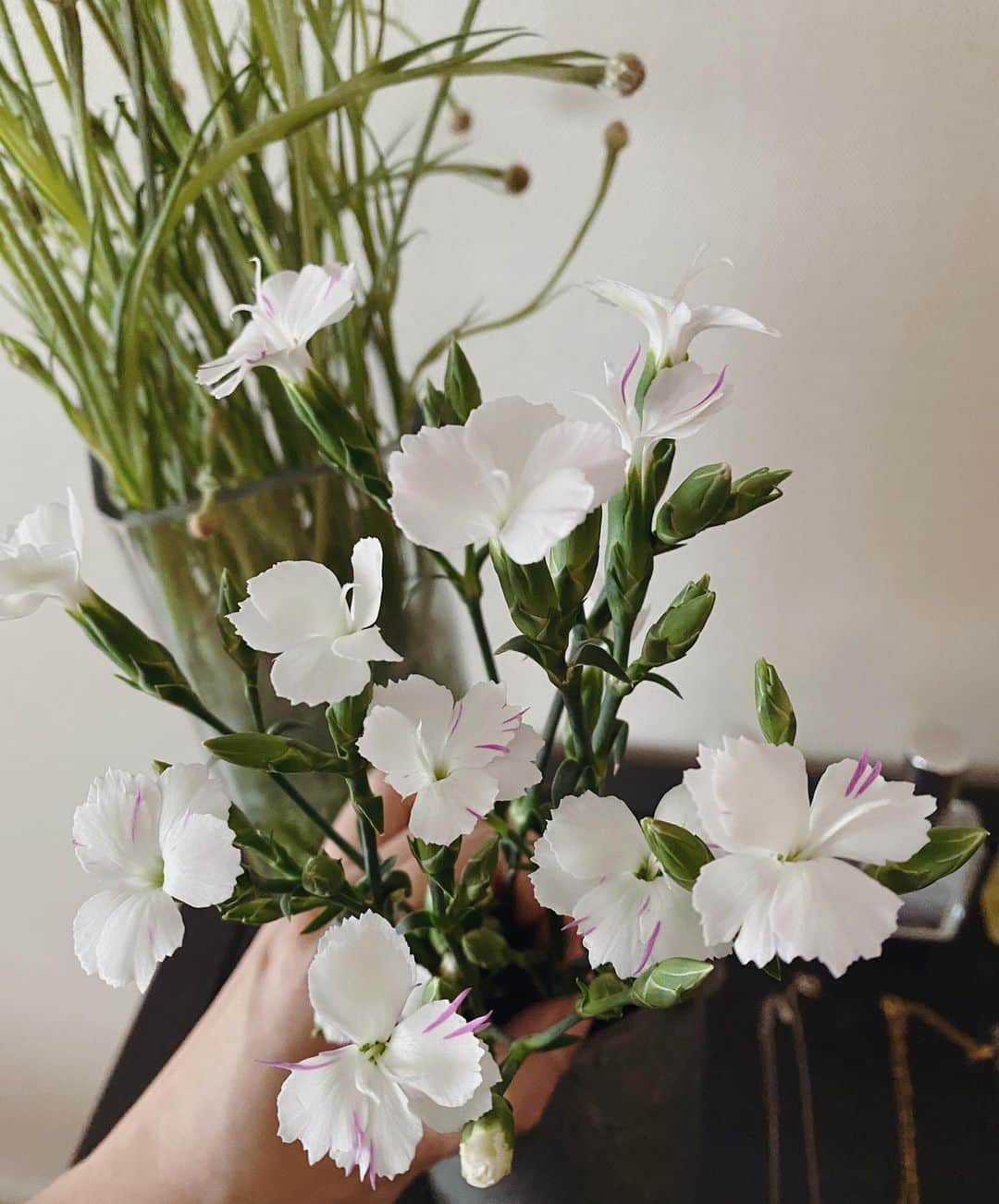 田中里奈さんのインスタグラム写真 - (田中里奈Instagram)「今週のお花。﻿ 今月は〝普段やらないことをやってみる〟がテーマの月なので、いつもは選ばない青い色のお花を。﻿ そして週末は母の日なので、カーネーションも並べました﻿ （写真2枚目に） これ線香花火っていう種類なんだって。﻿ ピピってペンで描いたようなピンク色の部分めっちゃ可愛い…！ ﻿ #たなか部屋 #お花のある生活 #flowerstagram﻿ #昨日のIGTVに残したインスタライブのアーカイブは要望があったのでもう少し残します☺️ ﻿ ﻿ iPhoneのカメラがどんどん性能が良くなっていって、画質も上がり、明るく撮れるようになって。﻿ 輪郭がくっきりすればするほど、ピントがボケたような、少し不完全なものに惹かれるのは何でなんだろうな〜。」5月8日 10時38分 - tanakaofficial
