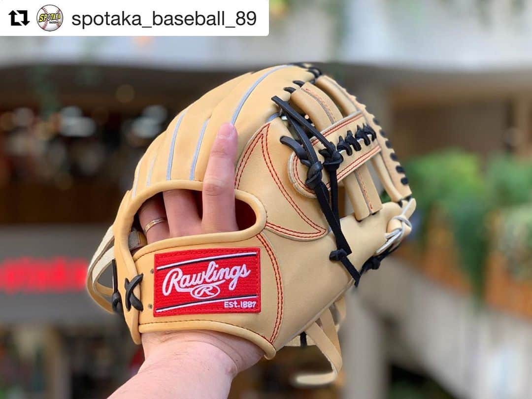 SSK エスエスケイ 菊池モデル プロエッジ オーダー 内野用 軟式