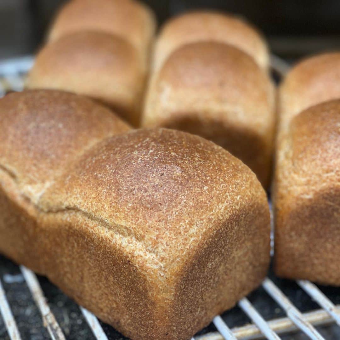 魔女菅原のグルメインスタ