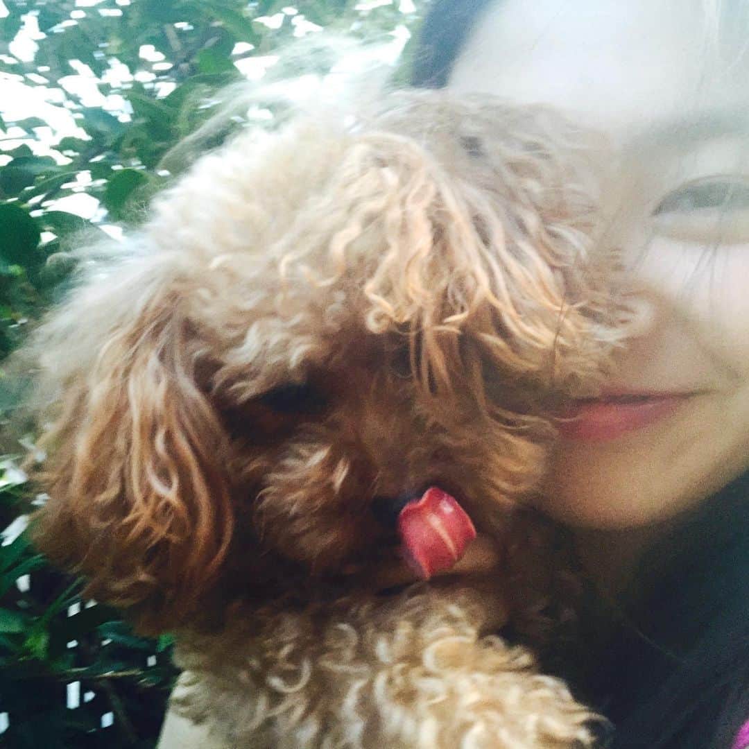 上西星来さんのインスタグラム写真 - (上西星来Instagram)「らいむ元気かな🐶🍭﻿ ﻿ せいら(19歳)✖︎らいむ(5歳)﻿ ﻿ #愛犬﻿ #五年前 #黒上ワンレン時代だ〜 #どんどんアップになっていくから注意」5月8日 12時18分 - seira_jonishi_tpd