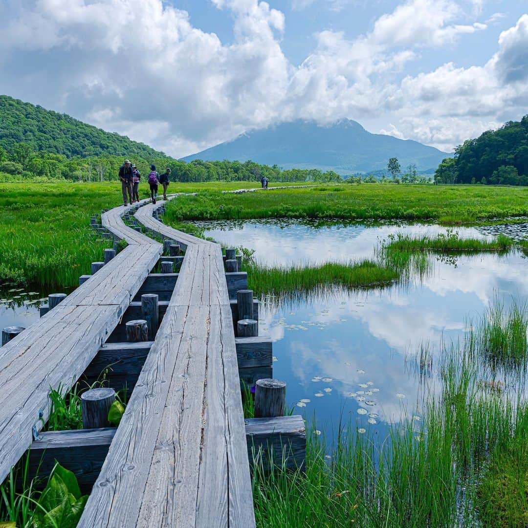 東京電力ホールディングス株式会社さんのインスタグラム写真 - (東京電力ホールディングス株式会社Instagram)「尾瀬ヶ原　池塘と木道(2019年7月撮影) Pond and Boardwalk at Ozegahara 東京電力グループは尾瀬の自然をまもる様々な取り組みを行っています。 #東京電力 #東電 #tepco #尾瀬 #尾瀬ヶ原 #群馬県 #gunma」5月8日 12時40分 - tepco.official