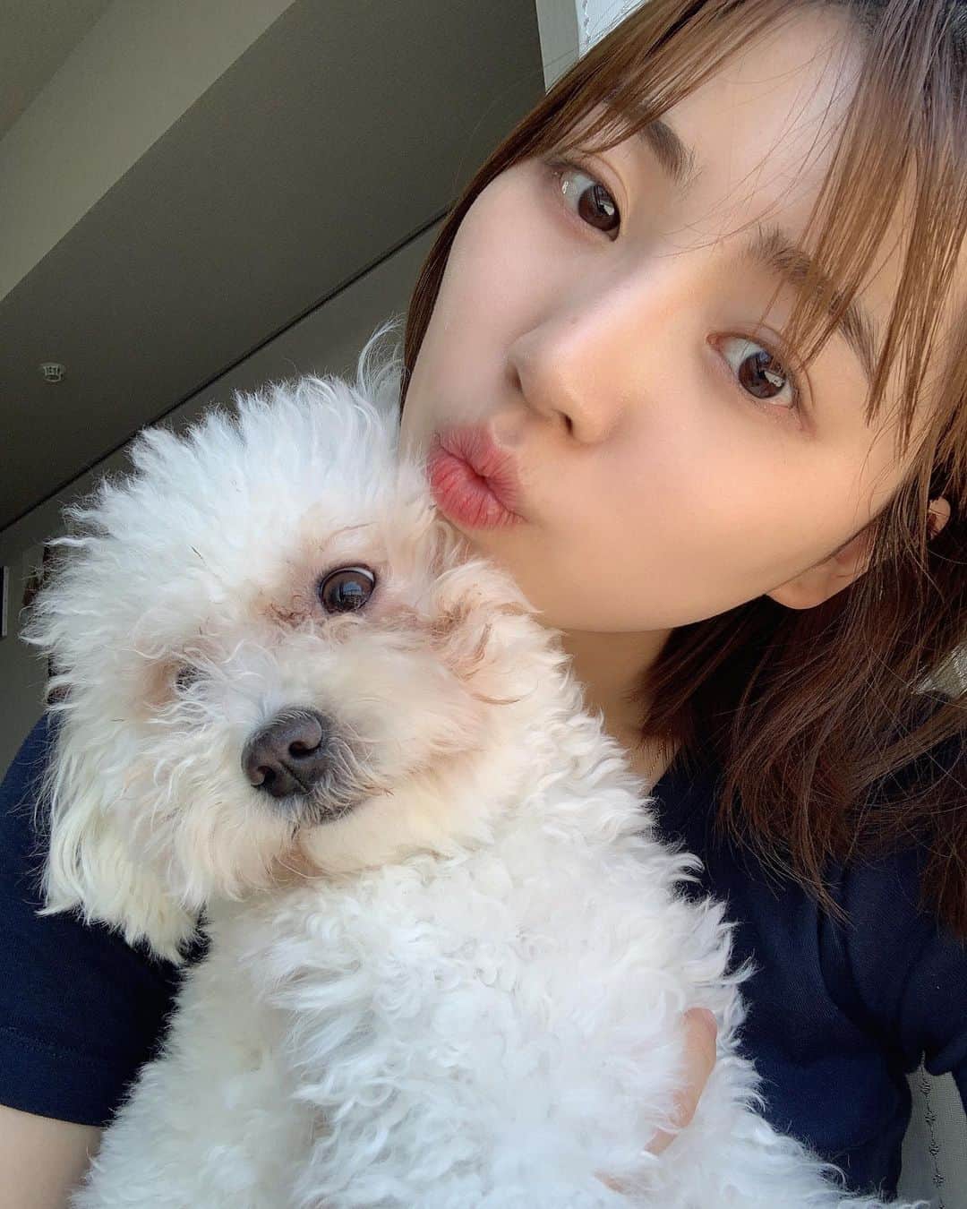 のインスタグラム：「早くお散歩いきたいねっ☀️」