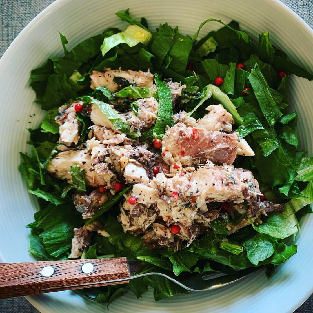 三森すずこのインスタグラム：「Today’s Breakfast🍳  mackerel salad 🥗 サバサラダ ロメインレタス＋サバの水煮(ほんとはツナが良かった)＋大葉 オリーブオイル+バルサミコ+塩胡椒のドレッシングで食べたよ♪ 赤いのはピンクペッパー💕これあるだけでなんかおしゃれ感。笑 #mimomeals #みもみーる」