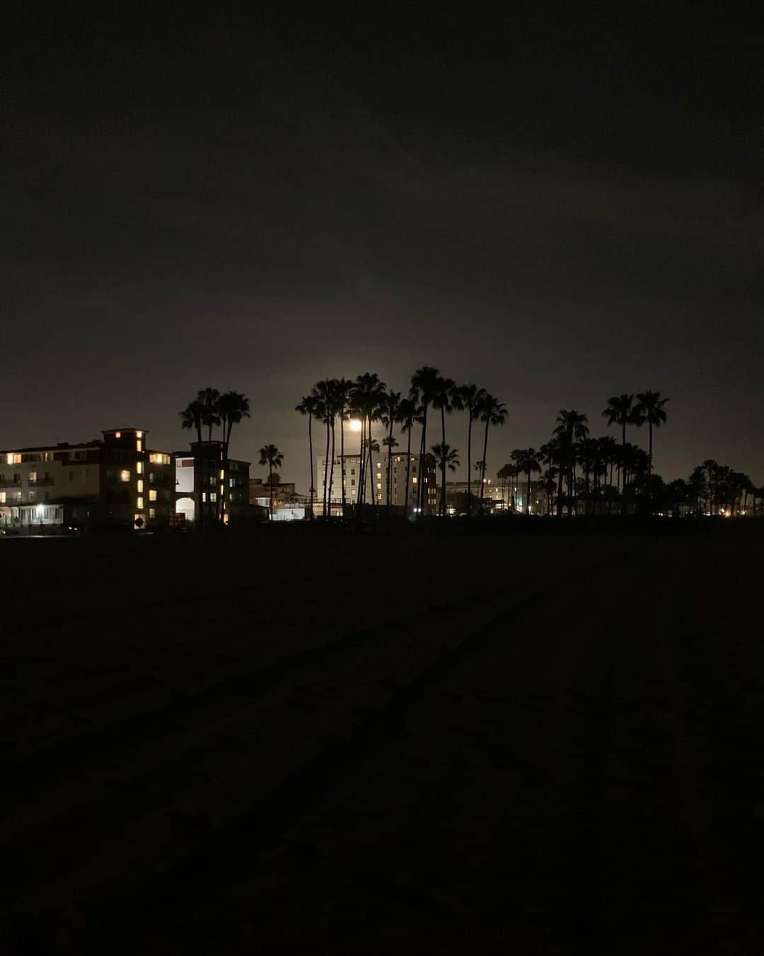 マチルダ・ルッツのインスタグラム：「We went to the beach to say goodnight to the full moon and we saw blue waves. Goodnight moon. Goodnight world. Sei magia! 🌎 #bluewaves #magicnature #goodnightmoon #santamonica」