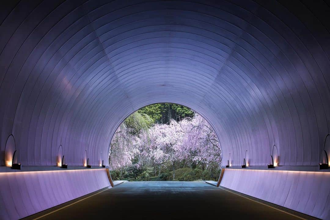 関西電力株式会社のグルメインスタ