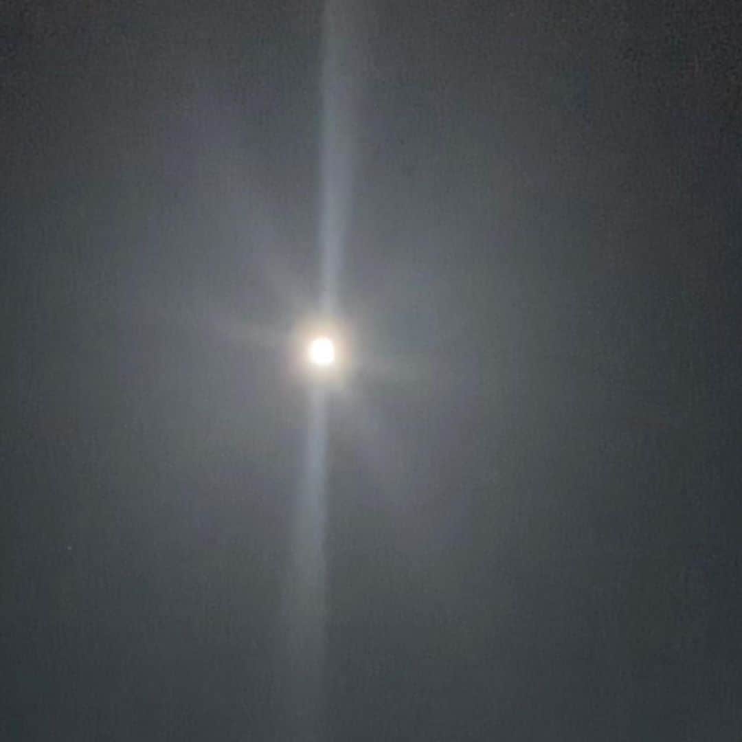豊田留妃さんのインスタグラム写真 - (豊田留妃Instagram)「昨日の夜のお月様、ˎˊ˗ ・ ・  #moon #moonlight #フラワームーンかな ？ #달」5月8日 15時29分 - runstagram_717