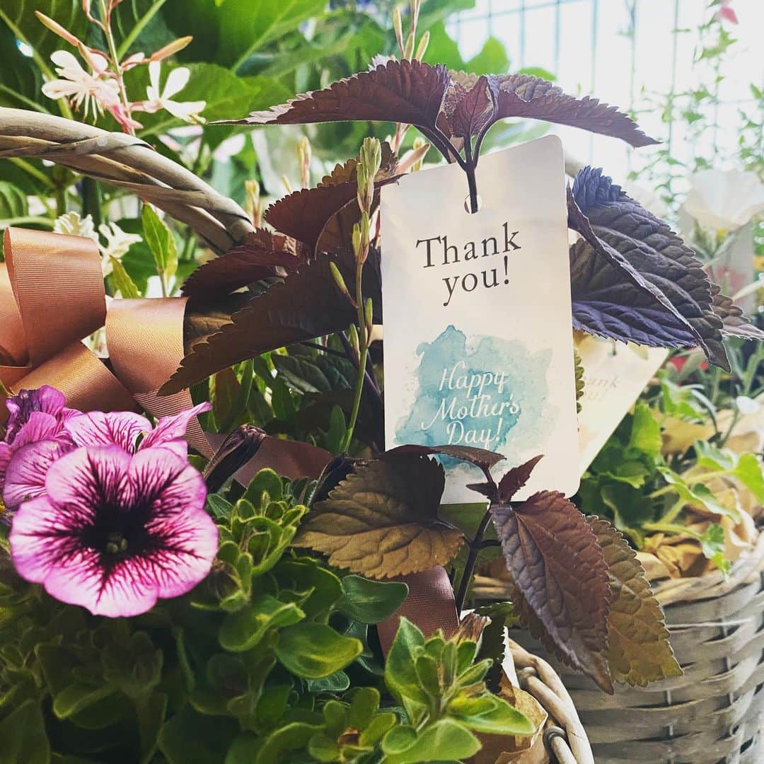 MILLE ECLAT.のグルメインスタ