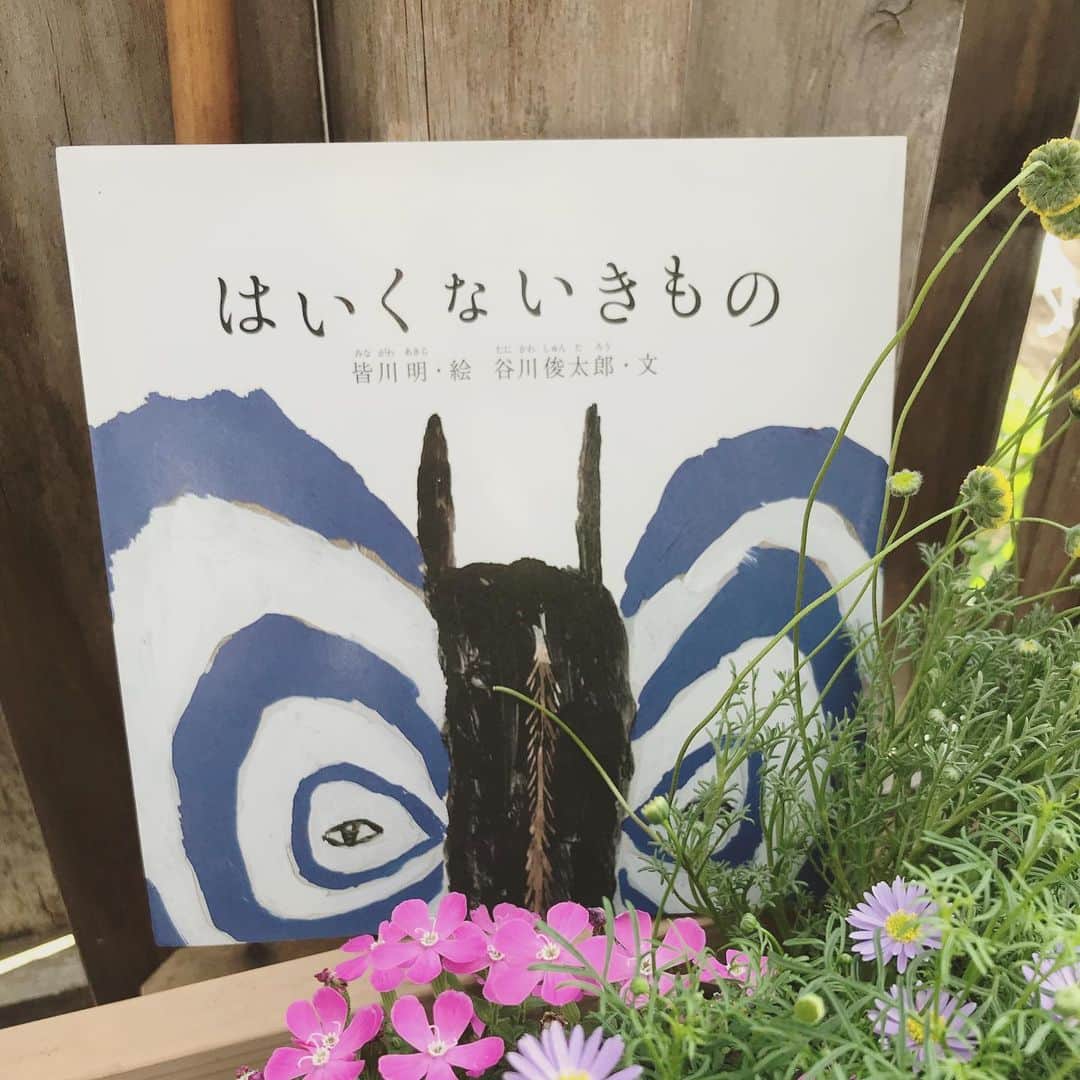 松本野々歩のインスタグラム：「Day 5  #ブックカバーチャレンジ #７日間ブックカバーチャレンジ #最近出会った大好きな絵本 ・ ・ 「はいくないきもの」  谷川俊太郎　文 皆川明　絵  初めて見た時 衝撃でした シンプルなのに破壊力凄まじい ぜひ　声に出して読んで欲しい！  そしてやっぱり俊太郎さんが紡ぐ言葉が好きだ好きだ  3年前の5月5日ロバハウスでの 谷川俊太郎さん、賢作さん ロバの音楽座のジョイントライブで 俊太郎さん朗読に 生で音楽を付けるコンサートをしました  ほんとによかったなぁ〜  #谷川俊太郎 #皆川明  #はいくないきもの」