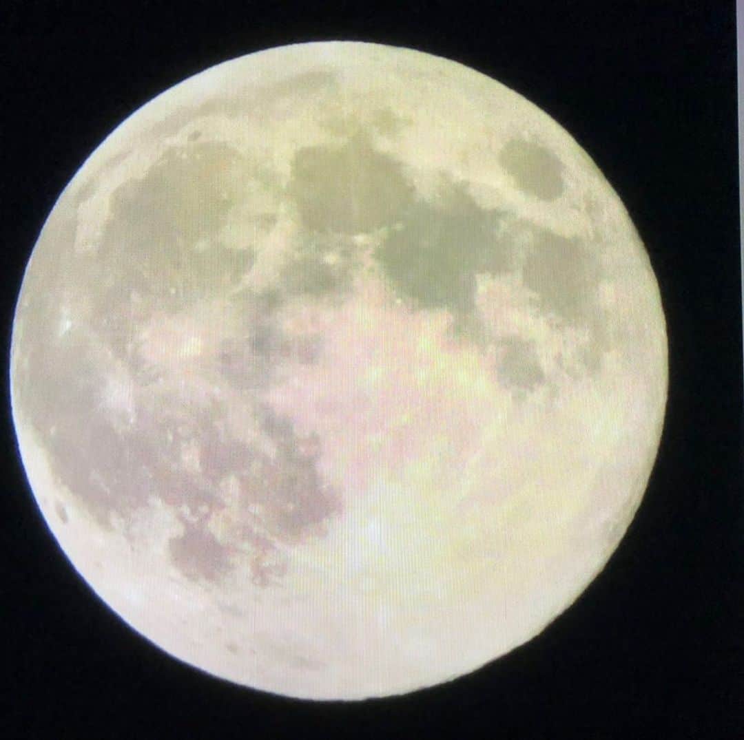 椎名佐千子のインスタグラム：「昨夜のフラワームーン🏵 皆さん、ご覧になりましたか？  それぞれの場所で見る月は淋しさもあるけど、繋がってるよ♫  #フラワームーン  #満月  #夜空  #見ましたか  #繋がってる空の下  #頑張ろうね」