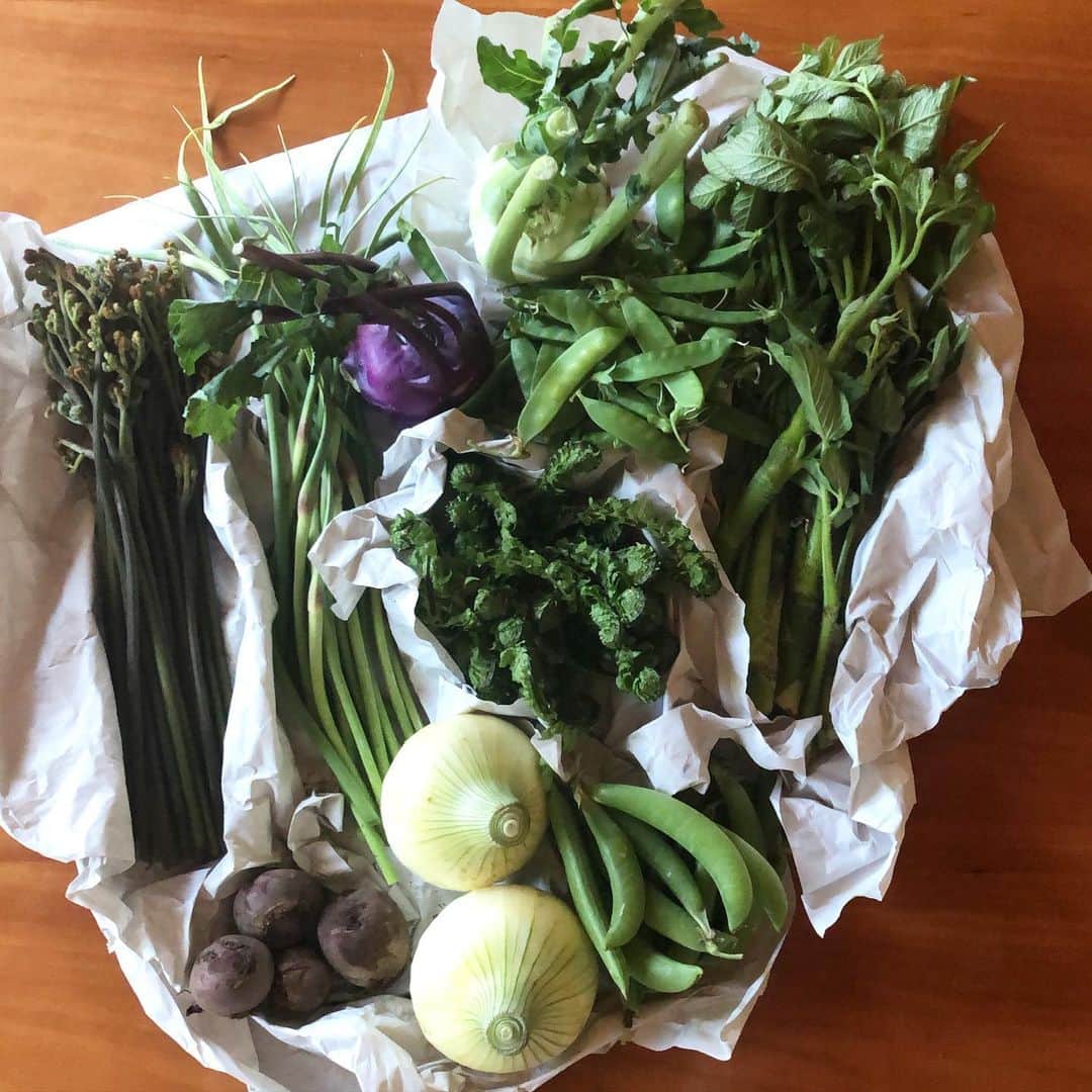 小堀紀代美さんのインスタグラム写真 - (小堀紀代美Instagram)「ファームレガーロさんから野菜がたっぷり届きました。山菜がスーパーと並ぶものとは違った自然の姿が可愛い。ちいさなこごみのモシャモシャ感とか♡ この他に小さなハーブも🌿　大事に頂きます。」5月8日 16時17分 - likelikekitchen