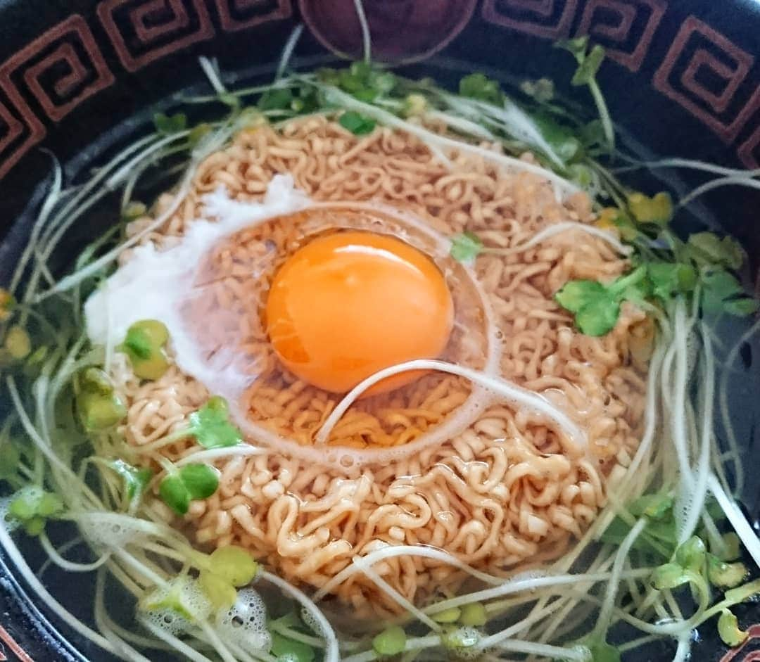 伊勢みずほさんのインスタグラム写真 - (伊勢みずほInstagram)「禁断のチキンラーメン。  こんなに簡単なのに。 美味しいね。  #チキンラーメン #玉子 #たまごポケット #かいわれ大根 #ありもの #簡単 #お家で過ごそう #お家時間 #おやつ #ランチ #お家ごはん #手抜きごはん #満足 #ごちそうさまでした #ラーメン #即席麺 #袋麺 #美味しい #麺活 #chickennoodle」5月8日 16時39分 - isemizuhoo