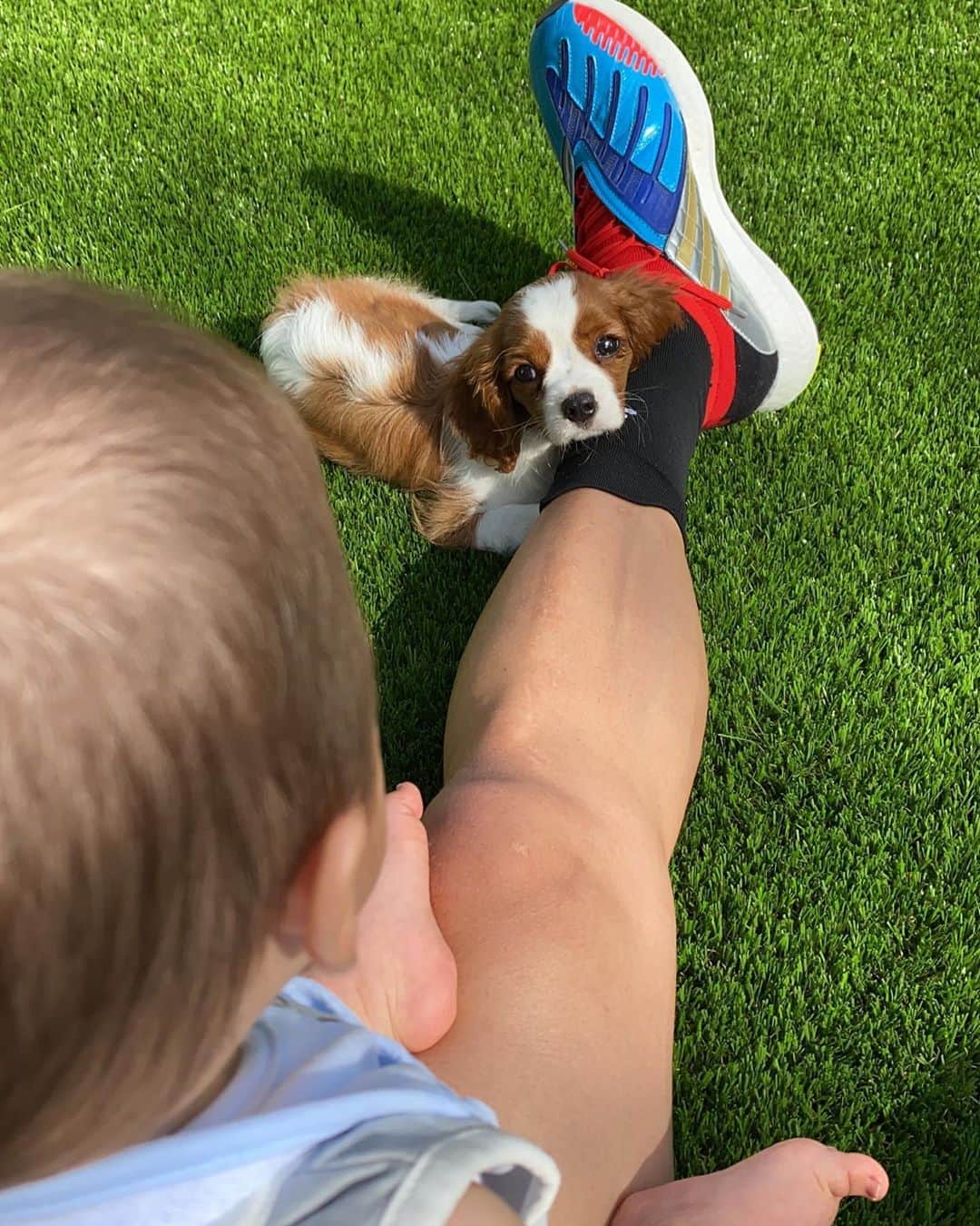 ハメス・ロドリゲスのインスタグラム：「Salo y Samu tienen un nuevo amiguito.🐶😄」