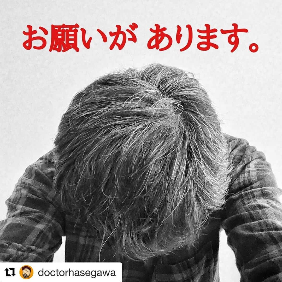 桜井誠さんのインスタグラム写真 - (桜井誠Instagram)「京都の大好きなお店の危機。 これ以上遊び場を奪われたくないので、皆様ご一読いただけると幸いです。 #Repost @doctorhasegawa with @get_repost ・・・ おす!!!﻿ ﻿ 皆様、お疲れ様です。﻿ ﻿ 《お知らせ》と《お願い》があります。﻿ ﻿ 私、本日、先ほどから﻿ ポングループ４店舗存続の為﻿ クラウドファンディングをスタートさせて頂きました。。﻿ ﻿ 社員７人の給与、家賃共益費光熱費の基本料と合わせて月額の固定費は300万円をこえます。それに酒屋さんや肉、魚屋、野菜屋さんの請求が１、２ヶ月遅れて来ますので月の支払い合計は約500万円です。いざという時を見つつコツコツ貯めていた運転資金も３月末で吹っ飛びました。。。﻿ ４店舗全てを存続させ、かつ社員を全員残留させる事も現実的に難しくなってまいりました。。。﻿ ﻿ 万策も尽き、恥ずかしながら、恥ずかしながら、決心した次第です。﻿ ﻿ もちろん、このコロナ渦の中にあって、世界中の皆々さん全員が苦境にあえいでる事も理解しております。無理の無き範囲でご支援ください。そして、お手数ではございますが、内容ご確認の上で《拡散》のお手伝いを宜しくお願い致します。﻿ ﻿ 長々と失礼しました。m(_ _)m﻿ ﻿ ポングループ代表：ドクターハセガワ﻿ ﻿ 元祖大四畳半大酒場ポン﻿ コンクリートバー﻿ 木屋町ゴールデン酒場﻿ オリオン食堂﻿ ﻿ 《クラウドファンディング(campfire)》﻿ https://camp-fire.jp/projects/view/269511﻿ ※ココ↑をクリックすると確認頂けます。﻿ ※Instagramからは私のプロフィールの﻿ URLから、ご確認可能です。﻿ ﻿ ドクターハセガワSNS他﻿ ﻿ @doctorhasegawa(Instagram)﻿ @長谷川耕司(facebook)﻿ @DOCTOR_HASEGAWA(Twitter)」5月8日 18時48分 - m_sakurai_da