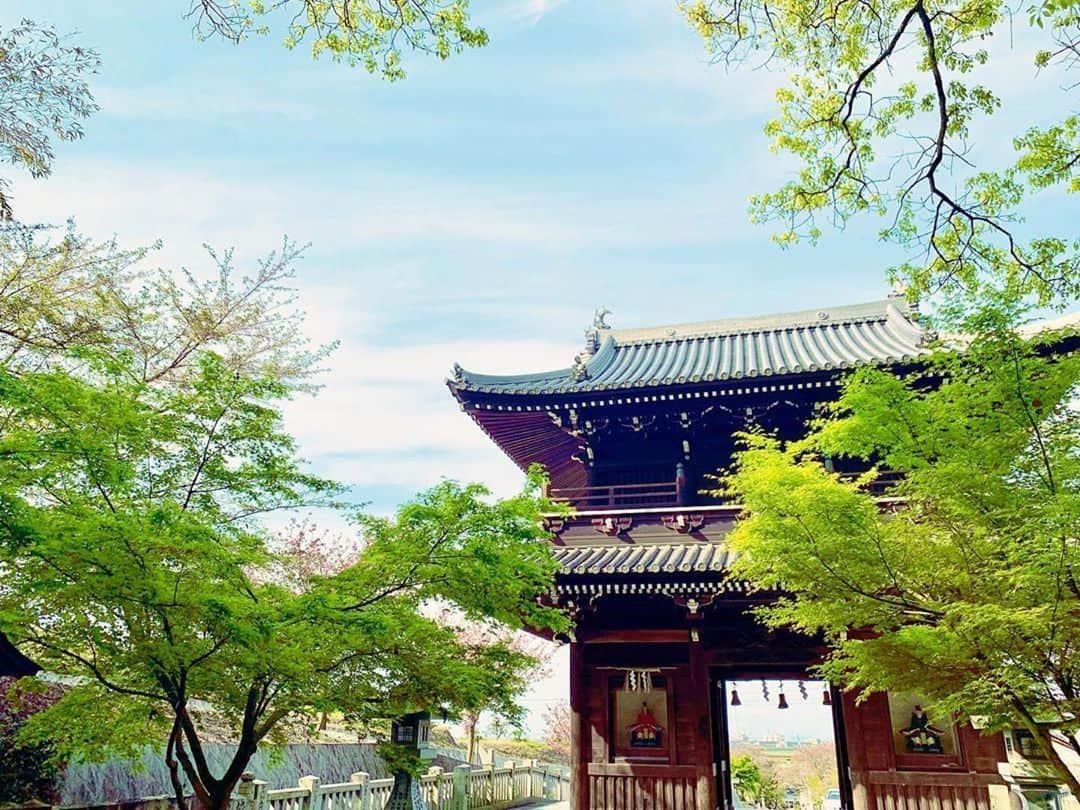 西条市さんのインスタグラム写真 - (西条市Instagram)「【LOVESAIJOじかん】﻿ ﻿ 新緑の石鎚神社⛩﻿ ﻿ 走り出したくなるね♪😂﻿ ﻿ #いよ西条 #伊予西条 #愛媛 #四国 #瀬戸内 #Ehime #Shikoku #Setouchi﻿ ﻿ ﻿ Repost @zennihon_boss﻿ ・・・﻿ 「45の夜」﻿ 誰にも縛られたくないと﻿ 逃げ込んだこの夜に﻿ 自由になれた気がした45の夜﻿ ※注)当方、バイクは盗みません。﻿ ちなみに夜でもないです(汗)﻿ ﻿ #ぼっちラン #昼ラン #ヒゲの呼吸 ﻿ #愛妻家 #子煩悩 #家庭好き #ストレス ﻿ #stayhome #罪悪感 #西条市 #西条 ﻿ #saijo #lovesaijo #イベント屋 #看板屋 ﻿ #なんとかなる #大丈夫 #きっとうまくいく ﻿ #マラソン好きな人と繋がりたい #run ﻿ #神社好きな人と繋がりたい #お宮参り」5月8日 19時03分 - lovesaijo