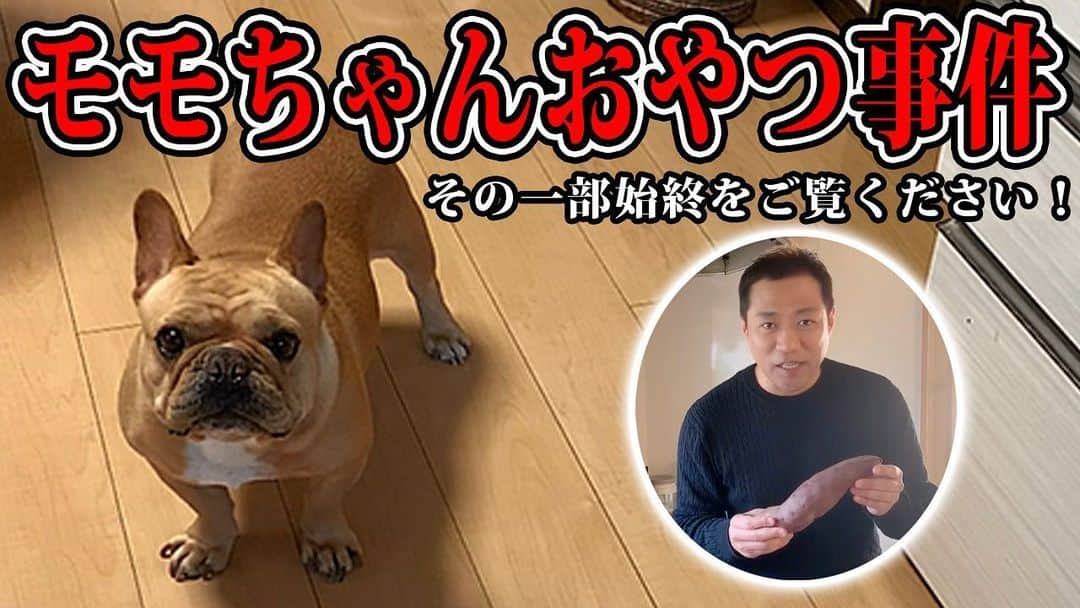 はなわさんのインスタグラム写真 - (はなわInstagram)「https://youtu.be/XvieEzjt8HA」5月8日 19時38分 - naoki_hanawa