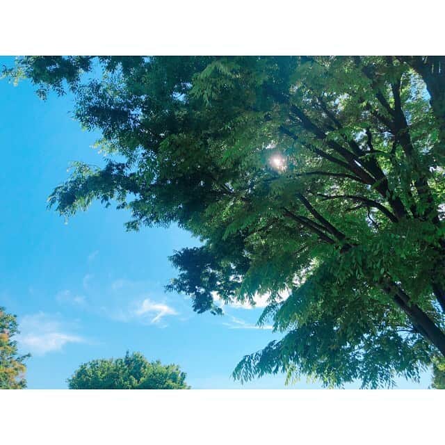 山岸愛梨さんのインスタグラム写真 - (山岸愛梨Instagram)「新緑がまぶしい( ´ ▽ ` )🌱🌱🌱この青空がずっと続けばいいのになぁ👀✨ #空　#青空　#五月晴れ　#アイスが食べたくなる陽気だね」5月8日 20時17分 - airi_yamagishi