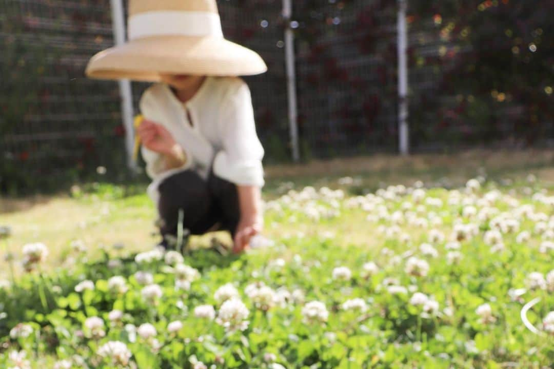 金子麻貴さんのインスタグラム写真 - (金子麻貴Instagram)「雑草を刈ってもすぐ生えてきて本当困ってるんだけど息子はお花やクローバーで楽しんでる🍀  何でもやりたがりな年頃でカメラを奪って撮ってくれたけどほとんど画角も入らず🤣でも奇跡的に撮れてるのが数枚。いつ撮ってるか分からないし笑い過ぎだけど息子が撮ってくれた奇跡の１枚。  ピントも甘いし足だけのとかちょっと可愛い❤️ おうちの中でもお庭でもゆるっと着られるリネンワンピースは @tesoro___baby  ずっとご質問頂いていましたがやっとやっと明日発売です❤️ . . #fashion#tesorobaby#fitflop#helenkaminski#zarakids#ワンピース#授乳ワンピース#テソロベビー#おうちコーデ#ヘレンカミンスキー#ポーチ」5月8日 20時18分 - mtmmaki