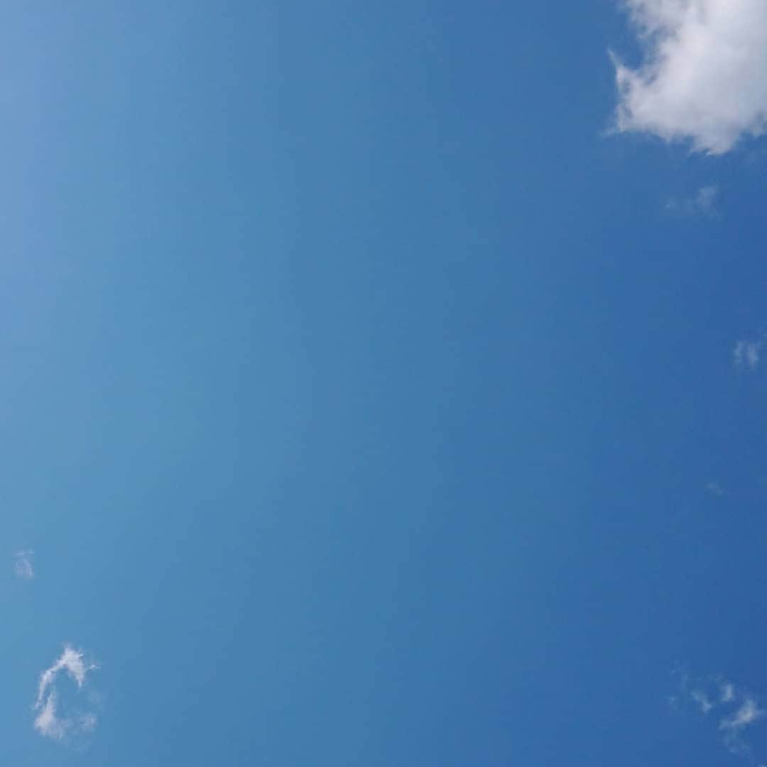 吉井怜さんのインスタグラム写真 - (吉井怜Instagram)「雲を探す☆  空一面が青空の中に 雲を見つけると嬉しかったりもする。  #快晴 #青空 #雲探し #洗濯日和  #吉井怜 #amebablog #吉井怜オフィシャルブログ #aquamarine18 #シェア投稿」5月8日 20時33分 - rei_yoshii