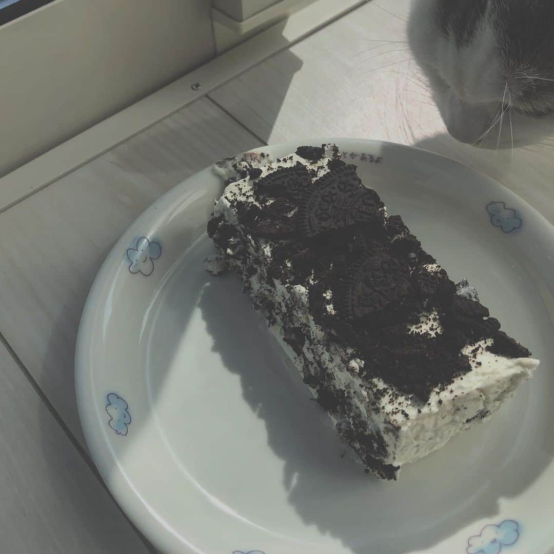 ティーンのインスタグラム：「#オレオチーズケーキ  YouTubeに作った動画あります！」