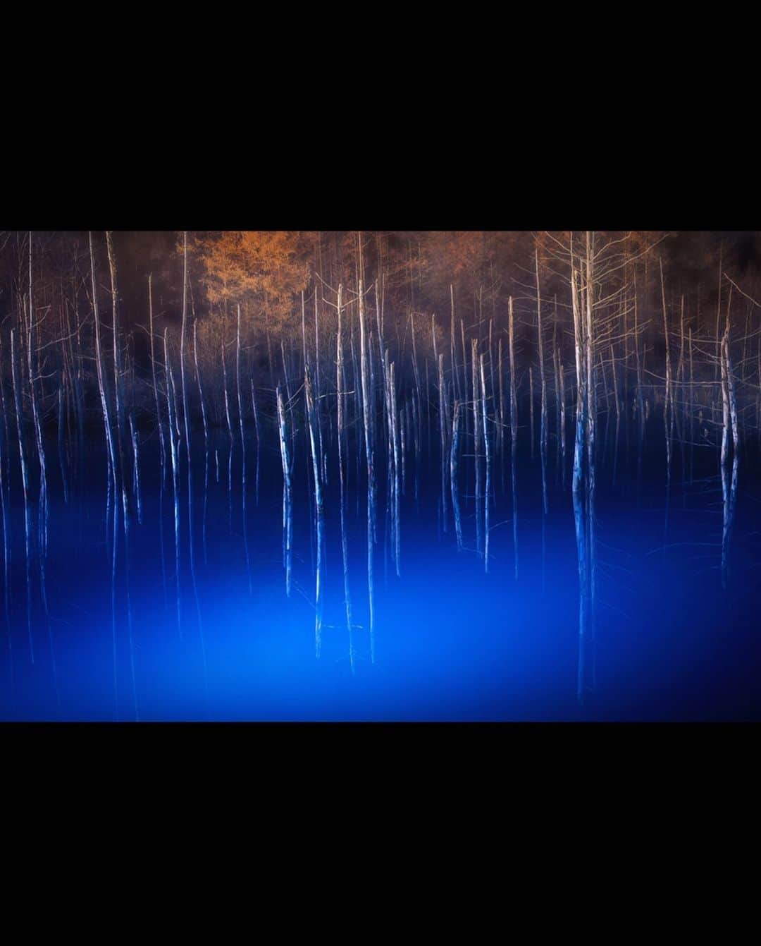 kyoko_zzzさんのインスタグラム写真 - (kyoko_zzzInstagram)「Illusion pond  #bluepond #illumination」5月8日 21時06分 - kyoko_zzz