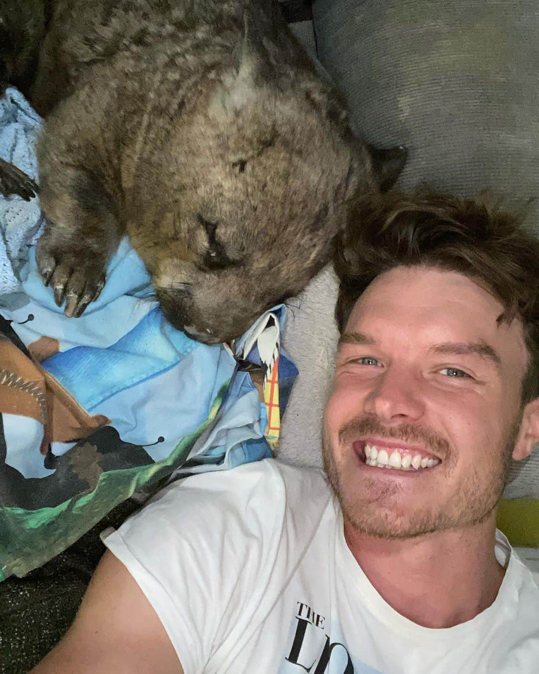 アラン・ディクソンさんのインスタグラム写真 - (アラン・ディクソンInstagram)「Listen to this official legal wildlife rule (it’s insane): If you find a baby wombat in the pouch of a slaughtered or injured wombat. The advised government protocol is to take the Joey out of the pouch with your hands and then decapitate it.  Where is the option to save it, care for it and release it back into the wild? Such inhumane backward laws for a native species  Follow and donate to @wombatawarenessorg because they are on the front line saving wombats in Australia. We’ve been to their place, these are their wombats and they are the most genuine caring people ever! -  @wombatawarenessorg  Wombats are considered a pest in South Australia and have no legal protection.  Farmers have them hunted and shot because they think they are destroying their land and crops due to feeding and their underground wombat tunnels. When in actual fact that is helping circulate nutrients and turn the soil.  If the wombats are eradicated from a farmers land then the soil eventually erodes and becomes impossible to grow on. And the farmer continues to blame the wombats because of lack of wildlife ecology insight and greed for profit.  The Australian goverment doesn’t even care for its own native species. this needs to change!! Save the wombats! Fight and follow @wombatawarenessorg - #animalselfIe #nationalpark #kanga #wildlife #selfie #wombay #babywombat #wallaby #wanderlust #animalwelfare #sydney #japan #goldcoast #wombatselfie #southaustralia #natgeotraveller  #australiawildlife #kangaroos #lonelyplanet #babyjoey #kangaroo #australia #traveler #joey #ourplanetdaily #visualsoflife #savewombats #cuteanimals #adelaidehills #adelaide」5月8日 21時24分 - daxon