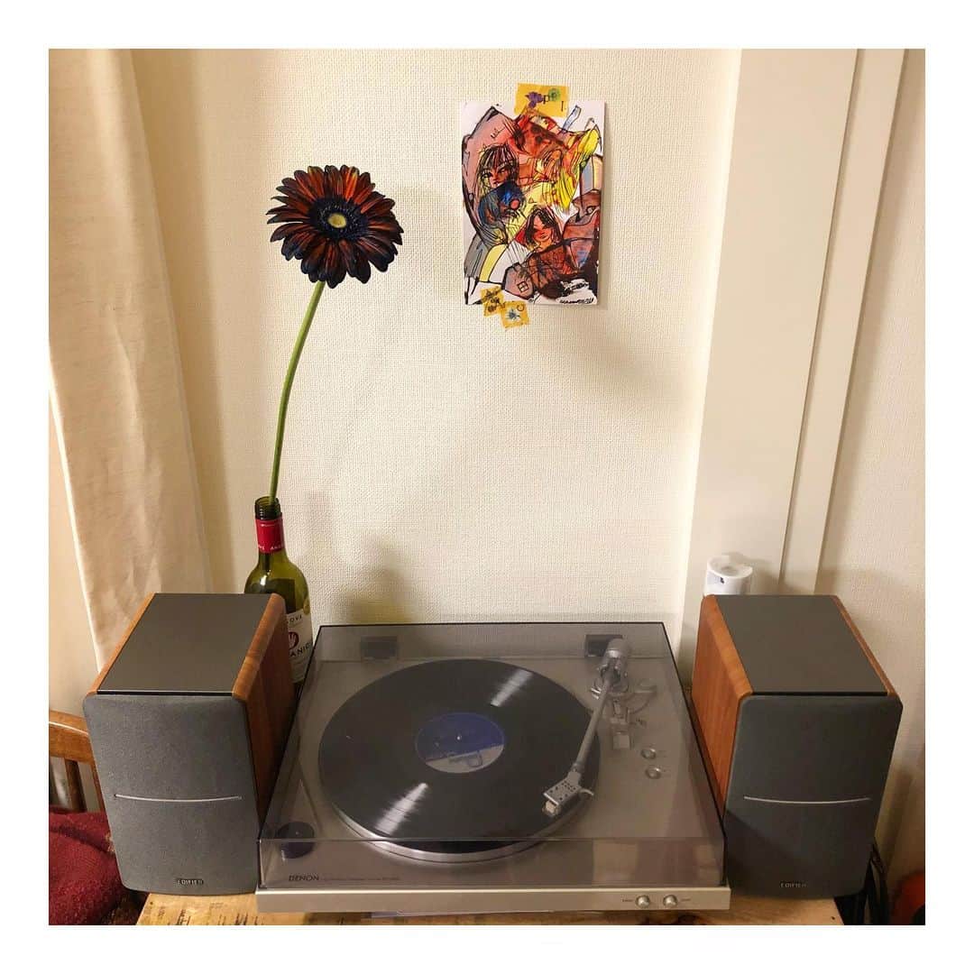 のインスタグラム：「🎼 ステイホームのおかげで、ずっと新調したかったスピーカーをゲット。  ４年ほど放置してしまっていたレコードプレイヤーで久々に音楽を聴いたら、そりゃもうたまらなくて、レコードの素晴らしさを久々に痛感。  たまたま入っていたビルエヴァンズを流したら、気分は最高潮！！ . . ４年も放置してしまってごめんよ、反省。これからは大事にするからね。  その後すぐネットで新しいレコードを買ってしまったのは言うまでもない。  ブルートゥース(覚えた手の言葉)で携帯からも音楽を流せて、ハイテクなオンナになった気分なのです。🕺💃🤖 . . I’ve got new speakers for my house. I haven’t use the record player for almost 4 years, but I remembered the sound of the record is the best. This makes my quarantine time so much better than it use to be!」