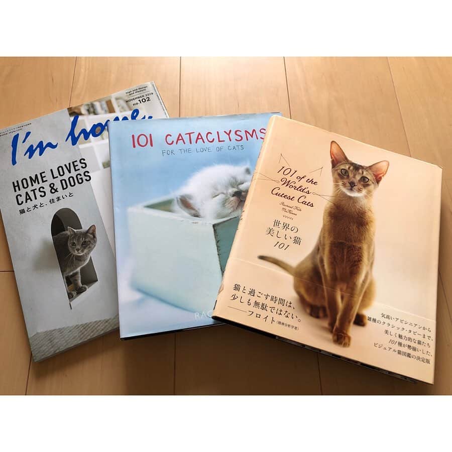 中山美香さんのインスタグラム写真 - (中山美香Instagram)「7日間ブックカバーチャレンジ。 『cats,cats,cats』 ANDY WARHOL  最終日、どの本にしようか迷って迷って迷って。 選びきれないので色々載せますw  #ブックチャレンジ  #7日目 #andywarhol  #catscatscats #横尾忠則  これは「読書文化の普及に貢献する為のチャレンジで 参加方法は好きな本を1日1冊7日間投稿する」というもの。 ルールは以下の通り。 ①「本についての説明はナシで表紙画像だけアップ」 ②その都度1人のFBまたはインスタ友達を招待し、 このチャレンジへの参加をお願いする。(スルーあり！) #7days  #7bookcovers #BookCoverChallenge #book #day7 #本 #読書」5月8日 21時49分 - mika5nakayama