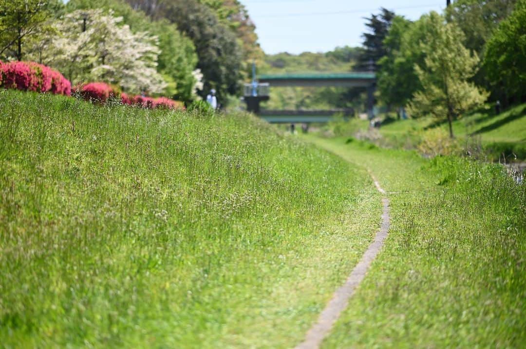 佐藤東弥のインスタグラム：「明日もこの道を歩こう」