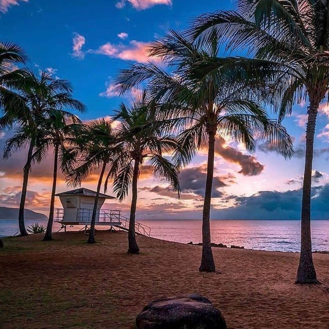 マリブシャツのインスタグラム：「Happy Aloha Friday! 🤙🏽 @unlimitedhawaii 📸: @marco.mitre.photography」