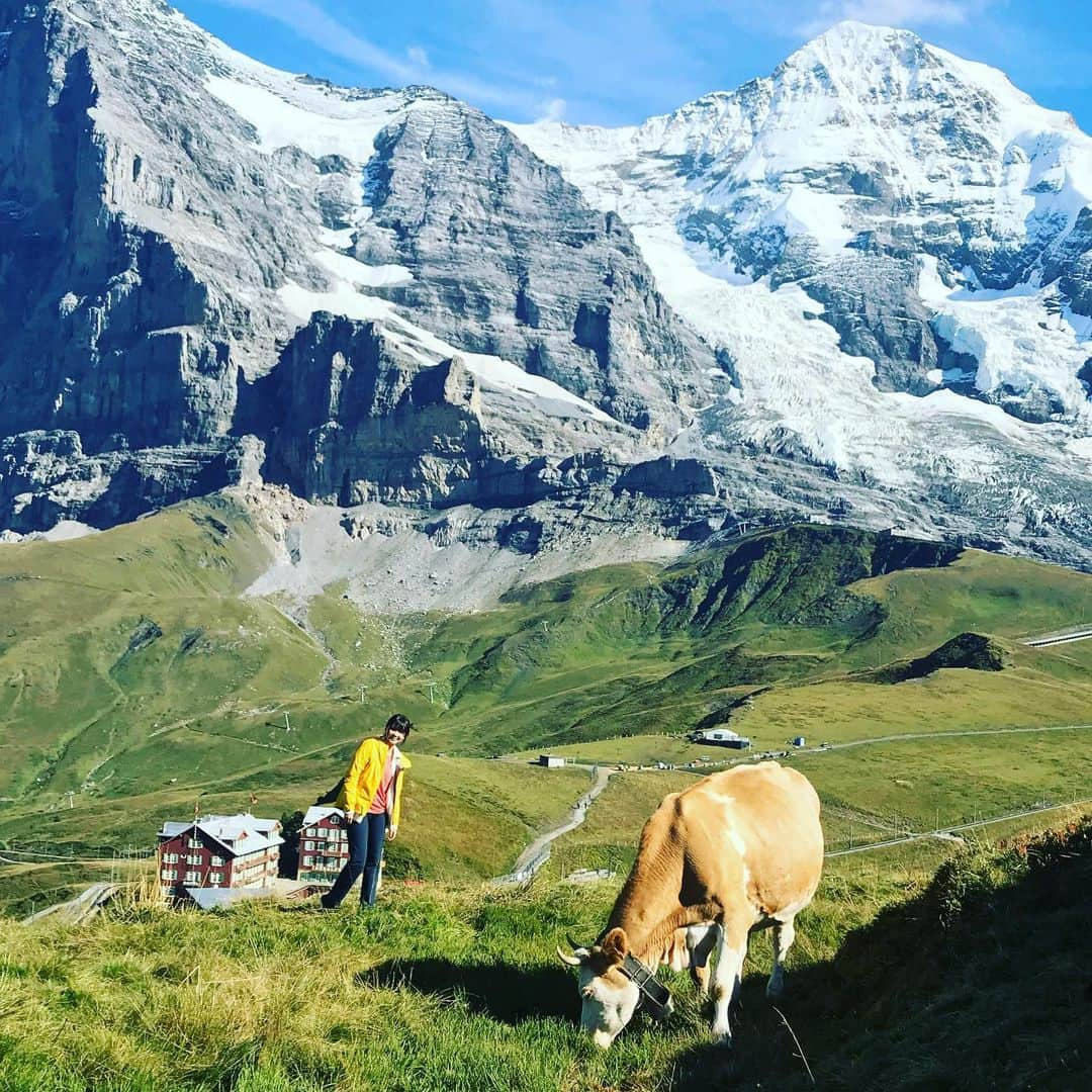 吉岡聖恵さんのインスタグラム写真 - (吉岡聖恵Instagram)「🐮突然ですが放牧中写真をどうぞ🐮🐄﻿ 放牧中、どうせだったら本場（？）の放牧を見に行こう👍と思い立ち、当時のマネージャー平ちゃん🚺と共にいざスイスへ🇨🇭✨✨✨﻿ 癒された❗️ みなさま良き週末を☺️❤️🧡💛﻿ ﻿ #放牧時代﻿ #スイス﻿ #懐かし写真館﻿ #カメラロール掘り起こしシリーズ  #家はミニチュアじゃないよ﻿ #小学校の時の合唱団でハイジ役をやってた﻿んだった笑﻿ #良き週末をお過ごしください」5月8日 22時35分 - kiyoe_yoshioka_official