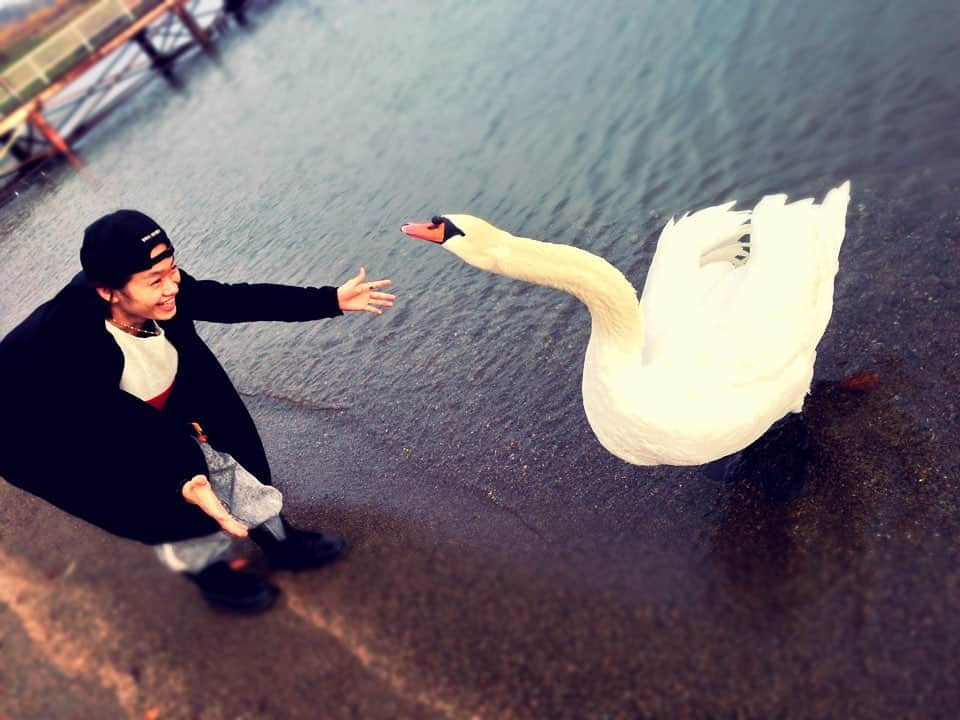 鳥越裕貴さんのインスタグラム写真 - (鳥越裕貴Instagram)「🦢 #北海道  #白鳥 #距離感 #逃げ腰 笑 #自然 #最高 よな」5月8日 23時17分 - yuki_torigoe.cleftchin